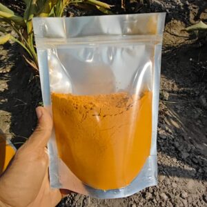 Skin Care with Natural Grown Haldi Turmeric - Chemical Free